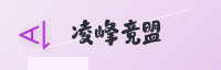 合作伙伴